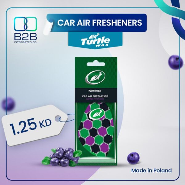 TURTLE CAR AIR FRESHENERS BERRY