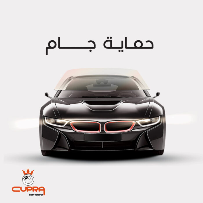 حماية الزجاج الأمامي Windshield Protection - Cupra