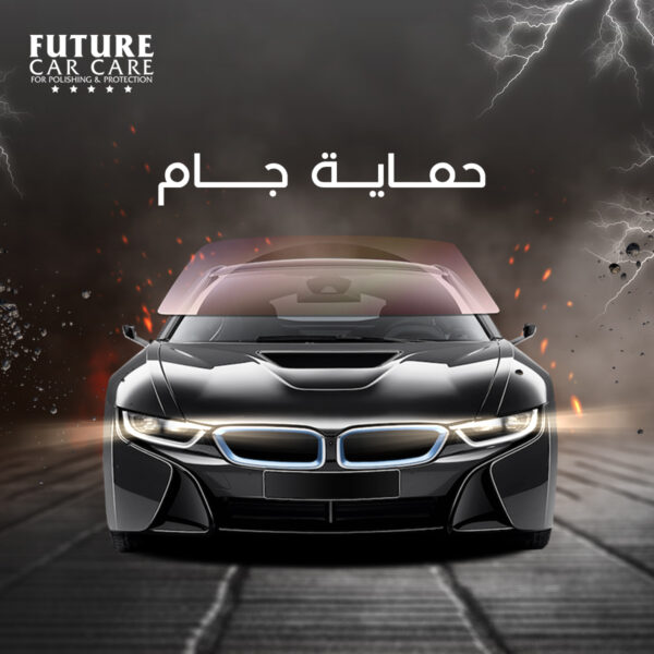 حماية الزجاج الأمامي Windshield Protection - Future